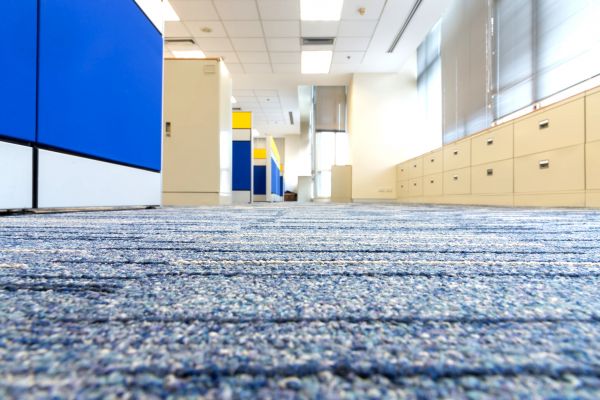 Business Carpet Cleaning in Surprise