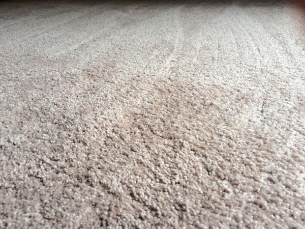 Plush Carpet Installation in Surprise