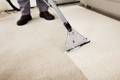 Expert Carpet Care